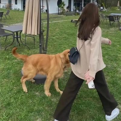 深林抢案